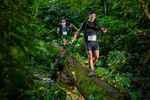 BIB: 9571, 
                            <button type="button" onclick="openModal(18923323)" class="btn btn-primary btn-sm float-right btn-popup" data-toggle="modal" data-target=".modal-high-quality">
                        <i class="fas fa-shopping-cart"></i> Add to Cart
                    </button>
                                            <button type="button" onclick="isThisMe(18923323, true)" class="btn btn-success btn-sm float-right btn-popup btn-isme hidden" data-toggle="tooltip" data-placement="bottom" title="นี่คือรูปของคุณใช่ไหม คลิกที่นี่เพื่อเอาเข้าอัลบั้ม">
                        <i class="fas fa-plus"></i> Add to album
                    </button>
                    <button type="button" onclick="isThisMe(18923323, false)" class="btn btn-warning btn-sm float-right btn-popup btn-isnotme hidden">
                        <i class="fas fa-ban"></i> Remove from album
                    </button>